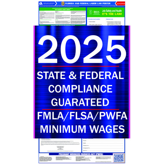 Florida State Minimum Wage 2025 Gwyn Portia