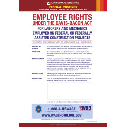 Davis-Bacon Poster - Government Construction