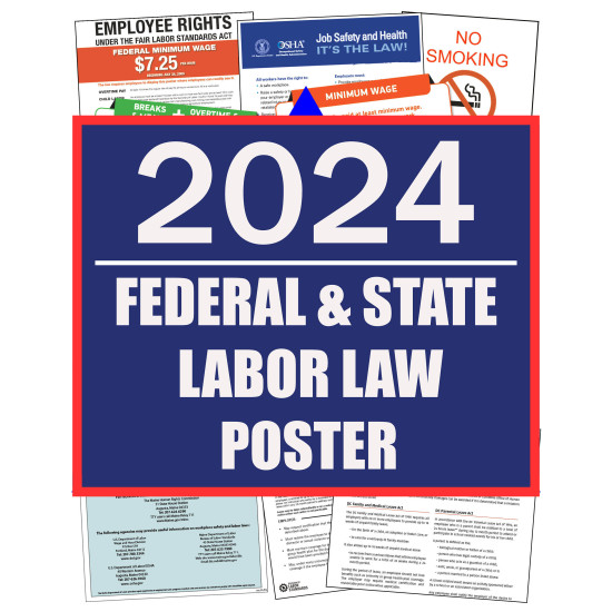 2024 Delaware Digital State and Federal Labor Law Poster 